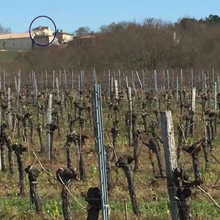 Superbe Gite A La Campagne Dans Le Bordelais Saint-Vivien-de-Blaye Ngoại thất bức ảnh