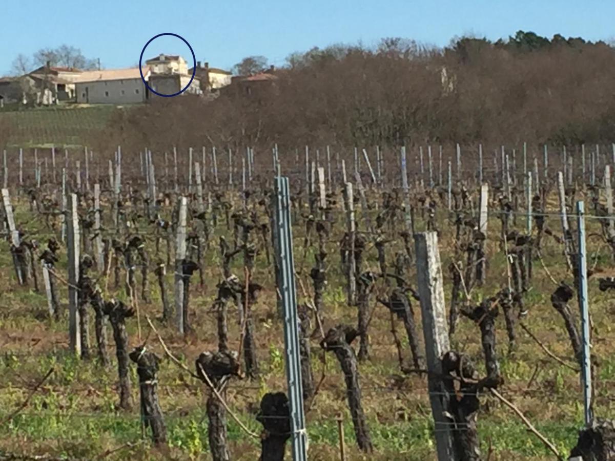 Superbe Gite A La Campagne Dans Le Bordelais Saint-Vivien-de-Blaye Ngoại thất bức ảnh